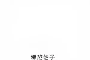 《舆论场手记》封面,手写体与观点标签